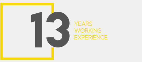 12 Year of Experience